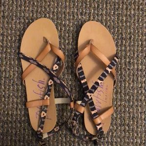 Sandals from Dry Goods, only worn few times